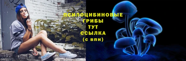 Альфа ПВП Карпинск