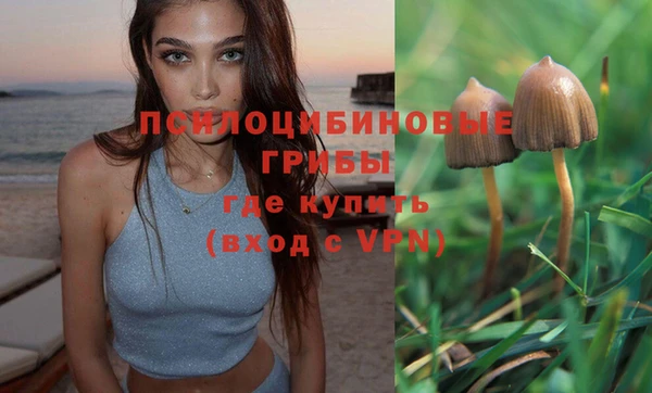 соль курить ск Касимов