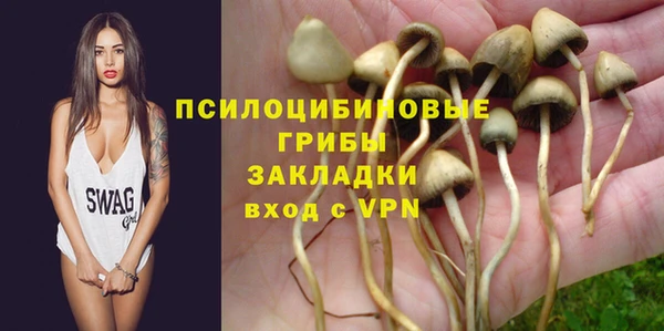 молекула духа Карталы
