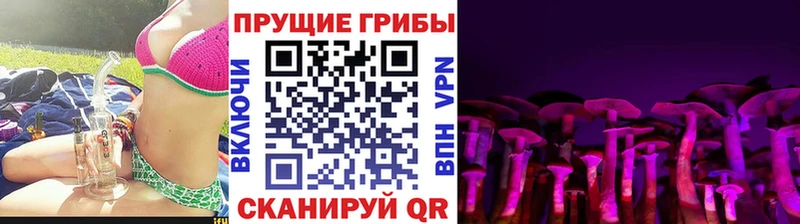 дарнет шоп  Чебаркуль  Псилоцибиновые грибы MAGIC MUSHROOMS 