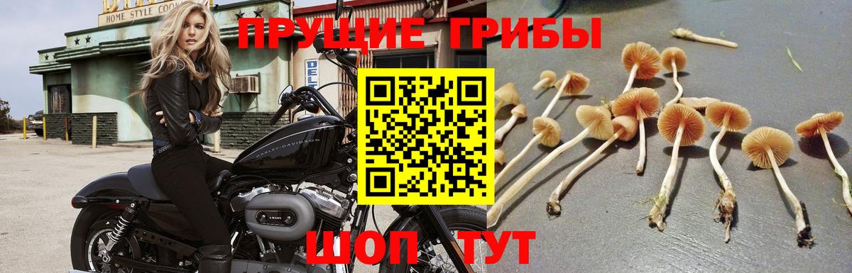 купить наркоту  Вход с VPN  Чебаркуль  Галлюциногенные грибы мицелий  Галлюциногенные грибы мицелий 