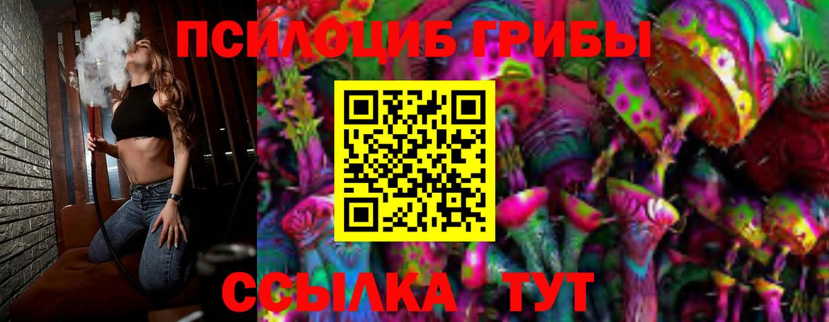 Псилоцибиновые грибы мицелий Чебаркуль